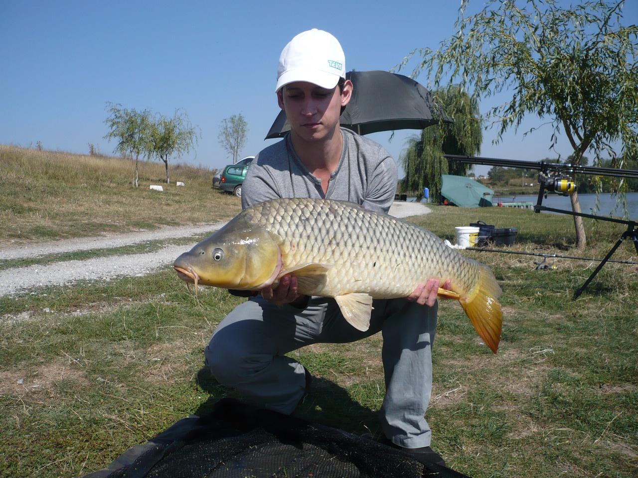 MV 2 - 19 SEPT 2014 - p1020853.JPG